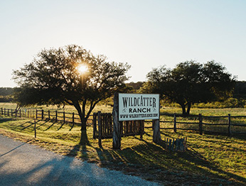 Hoogtepunten van Texas